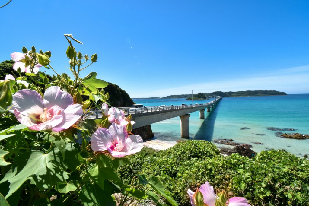 japón es una isla o un archipiélago